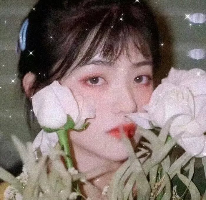 哈兰·科本的庇护所